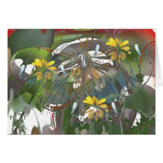 butterflygarden OBS kort