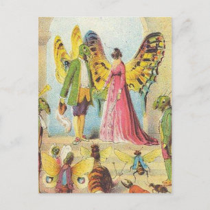 Butterfly's Boll Vykort