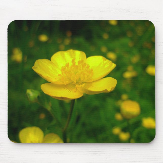 Butterkopp Mousepad Gult Flower Computer Mousepad Musmatta (Framsidan)