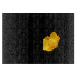 Butterkoppsblomma