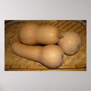 Butternut-kvadrat Poster