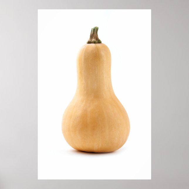 Butternut squash poster (Framsidan)