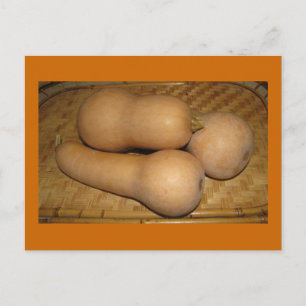 Butternutsquash Vykort