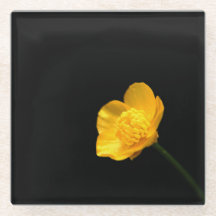 Butterpe Flower Coercna