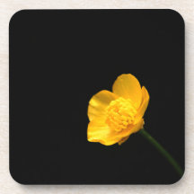 Butterpe Flower Coercna