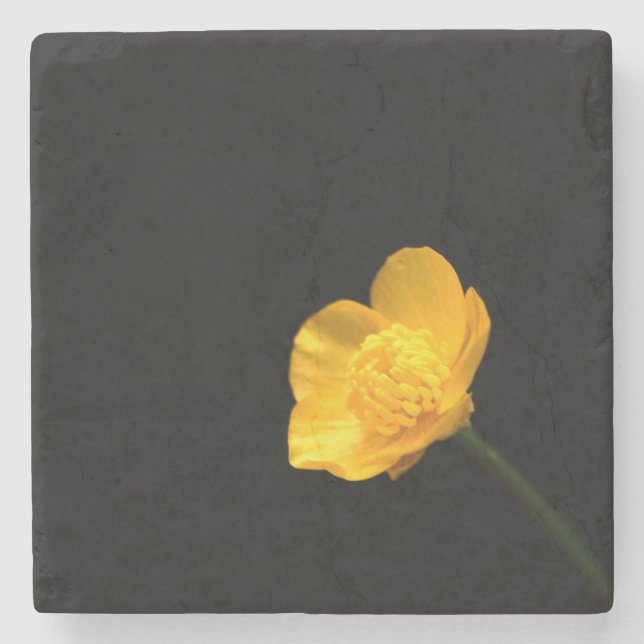 Butterpe Flower Coerm Stenunderlägg (Framsidan)