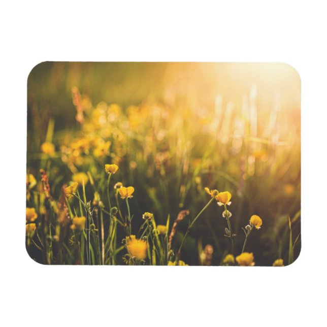 Butterpe Sundown Magnet (Horisontell)