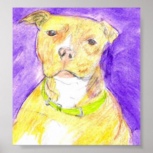 Butterscotch Poster (Framsidan)