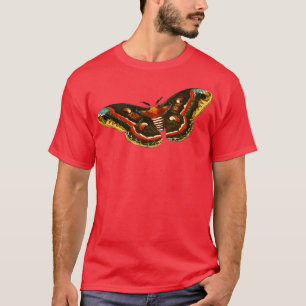 buttertrasa 3 t shirt