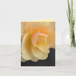 Buttery Begonia Note Card Tack Kort