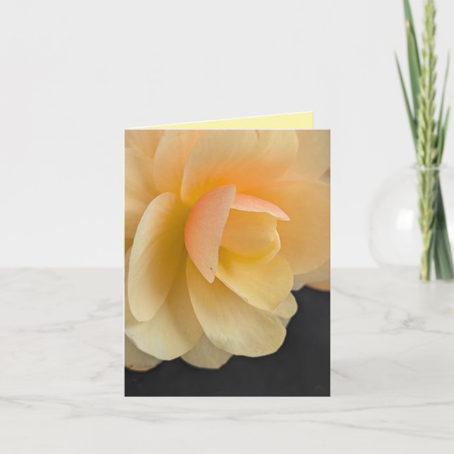 Buttery Begonia Note Card Tack Kort (Framsida)