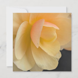 Buttery Begonia Note Card Tack Kort