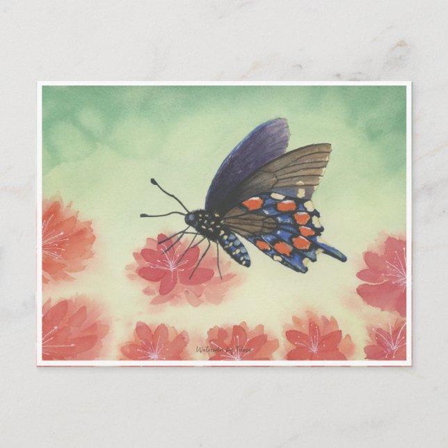 Buttlerfly-vattenfärg Vykort (Framsida)