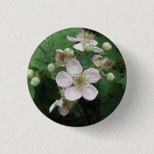 Button Blackberry Flowers Knapp