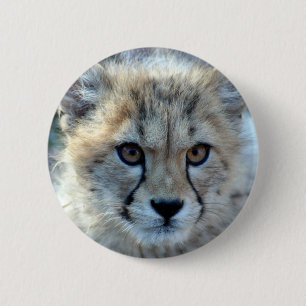 Button-cheetah-cub10x10 Knapp