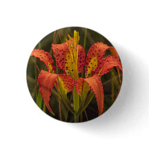 Button "Florida Lily"