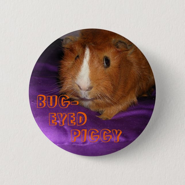 Button kryp-Eyed Piggy Guinea Gris Knapp (Framsida)