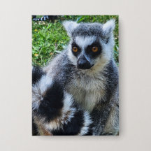 Button met Ringstaartmaki – Unieke Dierenprint