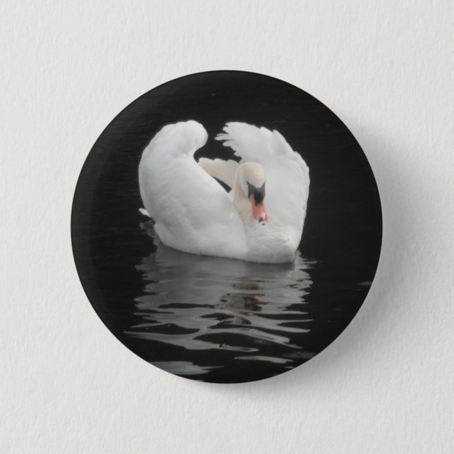Button Svan Swimming Knapp (Framsida)