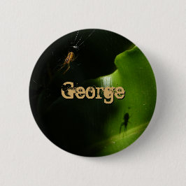 Button Tiny Spider Namn Knapp