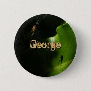 Button Tiny Spider Namn Knapp