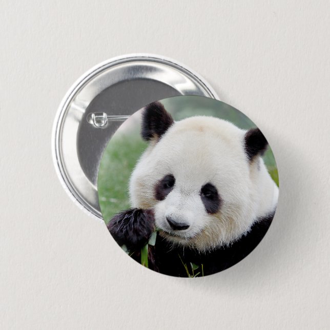 Buttons jättepanda. Pandainspektör. Knapp (Framsida & baksida)