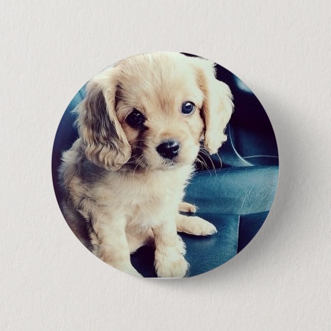 Buttonz upp! knapp (Framsida)