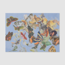 BUTTRYCKLIGEN Mjukt papper