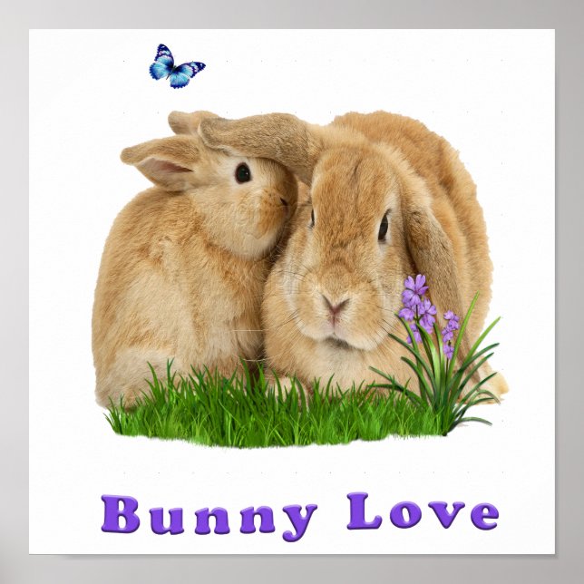 buuny kärlek poster (Framsidan)