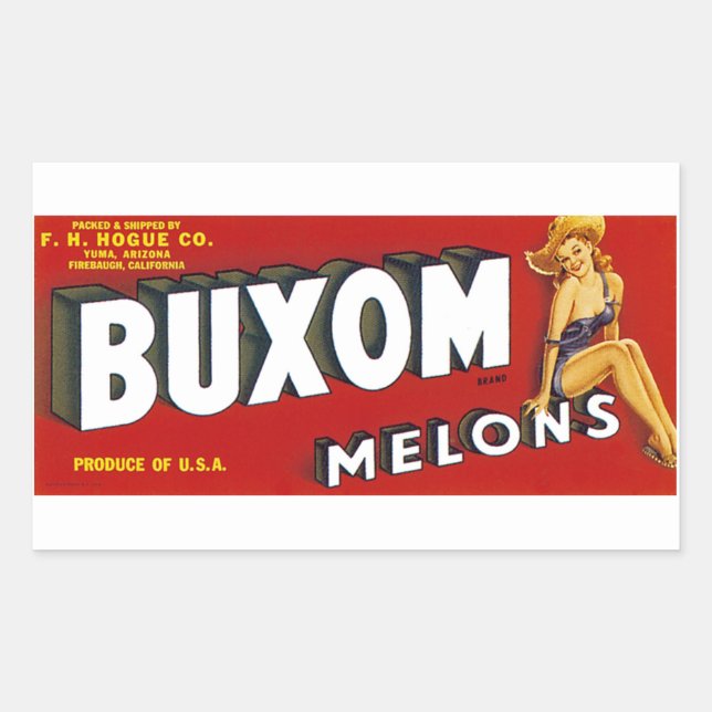 Buxom Mellons Rektangulärt Klistermärke (Framsida)