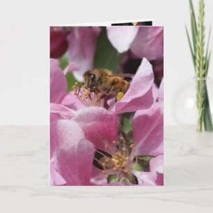 Buzy Bee Belated Birthday eller Occation Kort