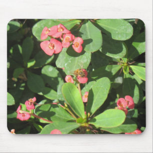 Buzz Av! Mousepad Musmatta