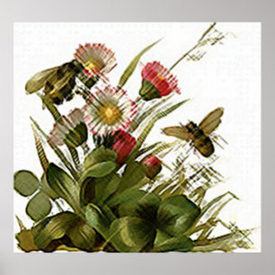 Buzz Buzz & Blommor Poster
