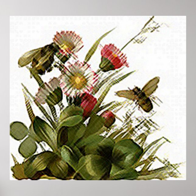 Buzz Buzz & Blommor Poster (Framsidan)