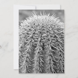 Buzz Cactus (AZ Sonoran Desert) Inbjudan