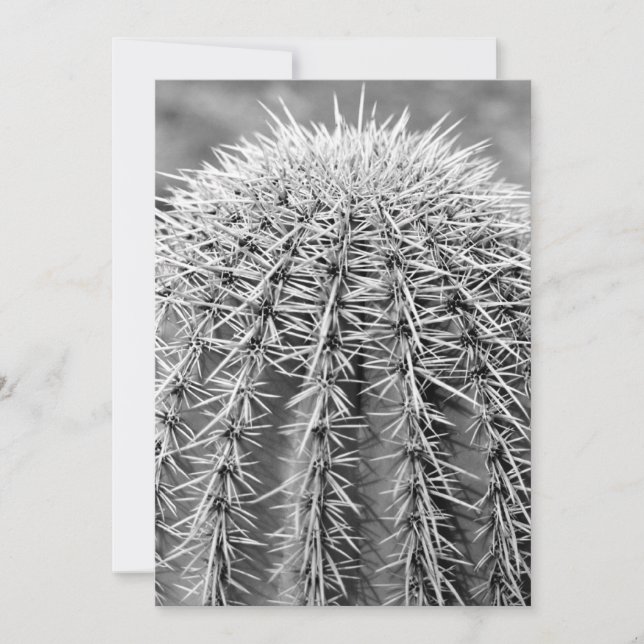 Buzz Cactus (AZ Sonoran Desert) Inbjudan (Framsida)