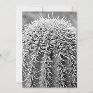 Buzz Cactus (AZ Sonoran Desert) Inbjudan
