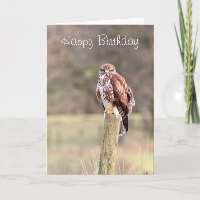 Buzzard Kort (Framsida)