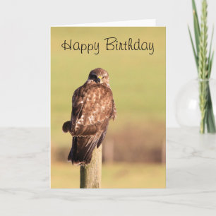 Buzzard Kort
