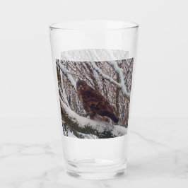 Buzzard på Snowy Gren Glaskopp