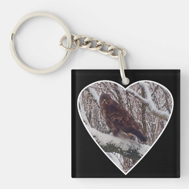 Buzzard på Snowy Gren i Heart (Framsidan)