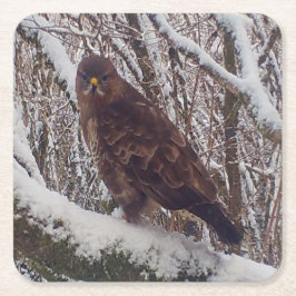 Buzzard på Snowy Gren Underlägg