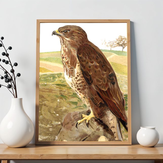 Buzzard Poster (Skapare uppladdad)