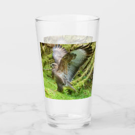 Buzzard Stretching Vingar Glaskopp