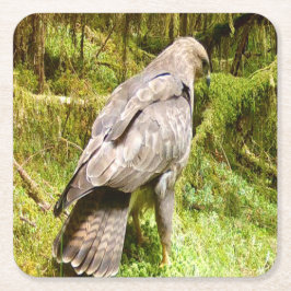 Buzzard tittar för Underlägg av grubbar