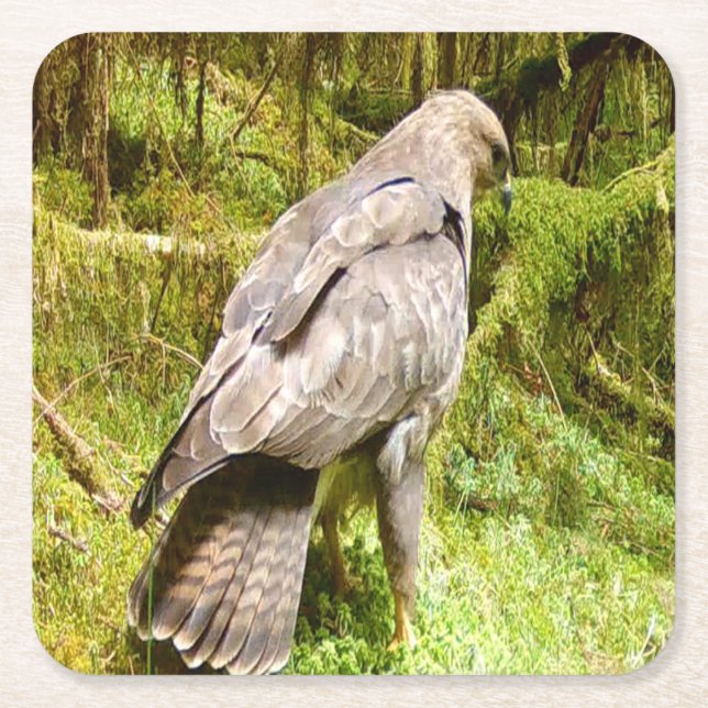 Buzzard tittar för Underlägg av grubbar (Framsidan)