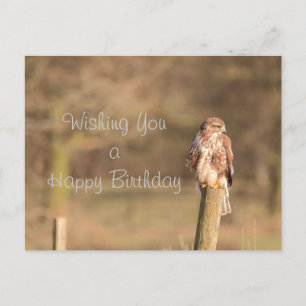Buzzard Vykort