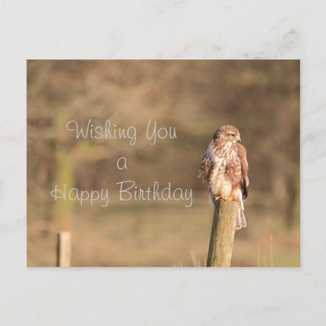 Buzzard Vykort (Framsida)