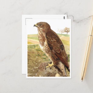 Buzzard Vykort
