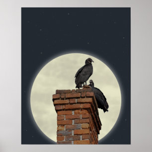 Buzzards på Skorsten mot fullt måne Poster